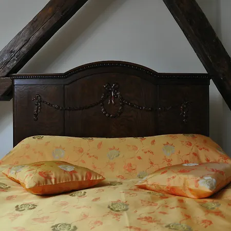 Pensionat Casa Antiqua Braşov